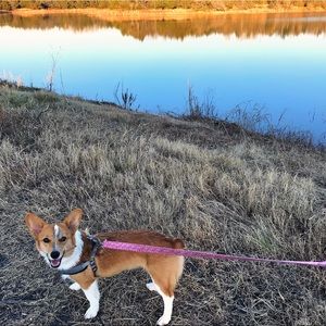 Meet your Posher, Millie